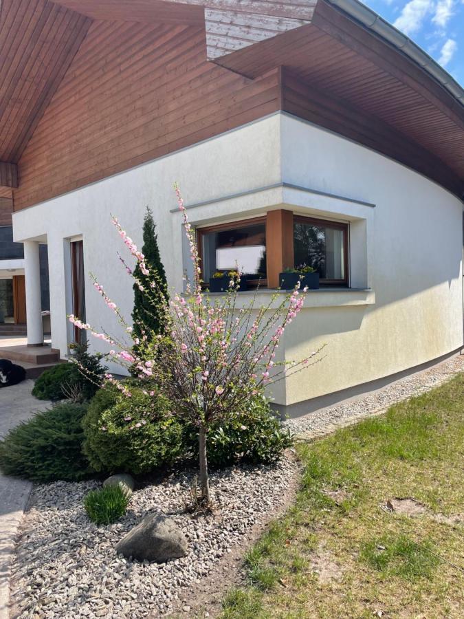 Apartament Przy Lesie Chojno-Blota Wielkie Eksteriør bilde